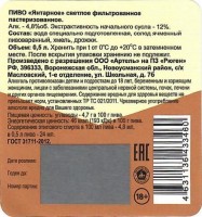 Янтарное 1